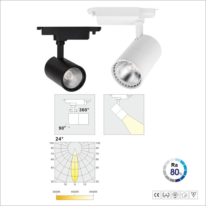 Đèn Led Rọi Ray R-KS-20A-T | Hùng Vương